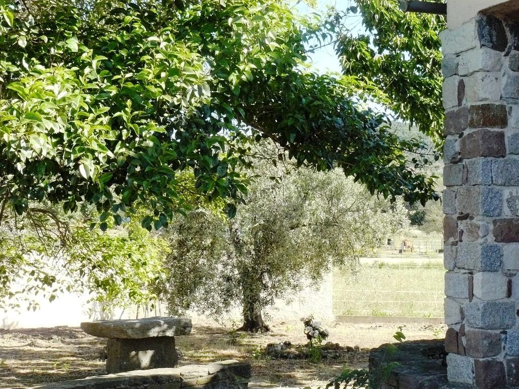 Mas Le Chêne Grimaud