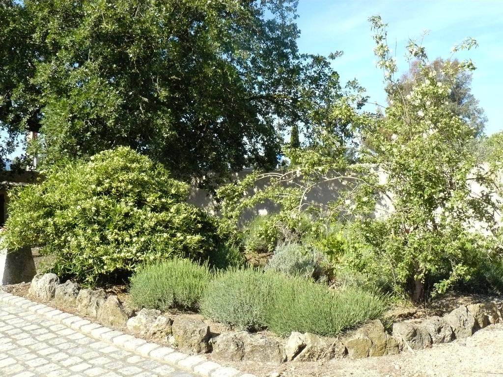 Mas Le Chêne Grimaud